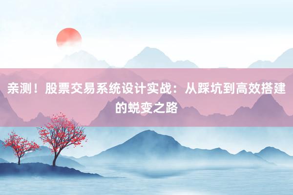 亲测！股票交易系统设计实战：从踩坑到高效搭建的蜕变之路