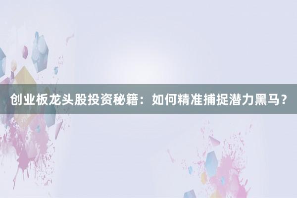 创业板龙头股投资秘籍：如何精准捕捉潜力黑马？